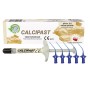 CALCIPAST - calcium hydroxide paste