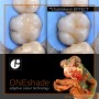 ONEshade Universal Composite Capsule 0.2g sample