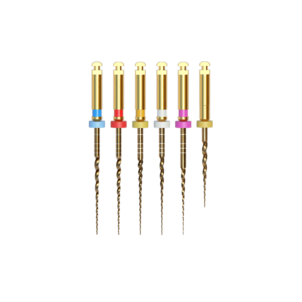 PTG PROTAPER GOLD® compatible files (6pk) assortment | B?